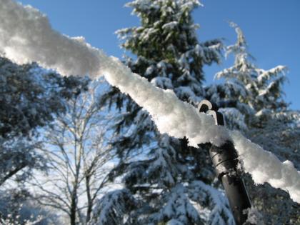 img_1946.JPG