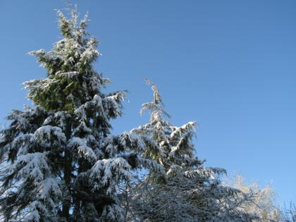img_1952.JPG